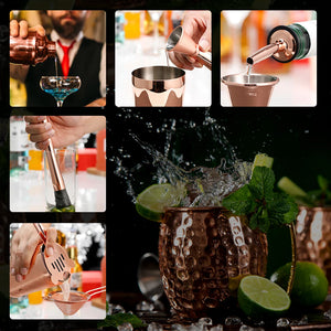 Cocktail Shaker Making Set,16Pcs Bartender Kit for Mixer Wine Martini, Stainless Steel Bar Tools, Home Drink Party Accessories